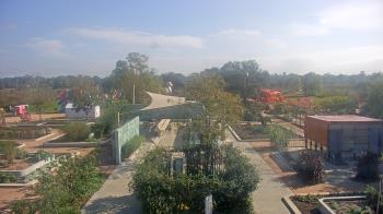 Weather camera view of Houston Botanic Garden.