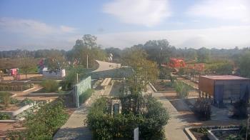 Weather camera view of Houston Botanic Garden.