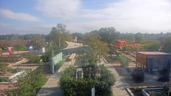 Weather camera view of Houston Botanic Garden.