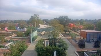Weather camera view of Houston Botanic Garden.