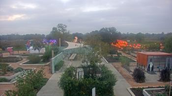 Weather camera view of Houston Botanic Garden.