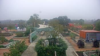 Weather camera view of Houston Botanic Garden.