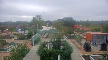 Weather camera view of Houston Botanic Garden.