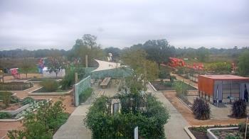Weather camera view of Houston Botanic Garden.