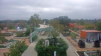 Weather camera view of Houston Botanic Garden.