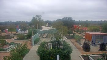 Weather camera view of Houston Botanic Garden.