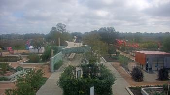 Weather camera view of Houston Botanic Garden.