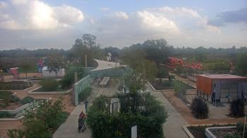 Weather camera view of Houston Botanic Garden.