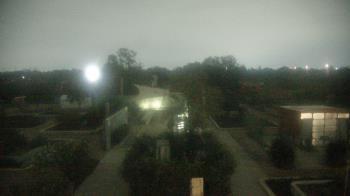 Weather camera view of Houston Botanic Garden.