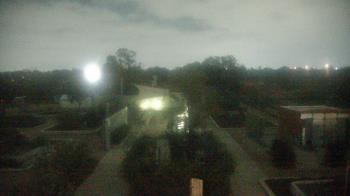 Weather camera view of Houston Botanic Garden.