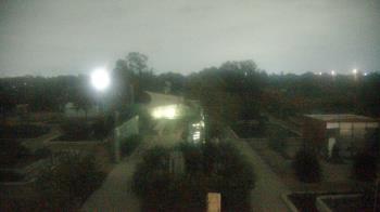 Weather camera view of Houston Botanic Garden.