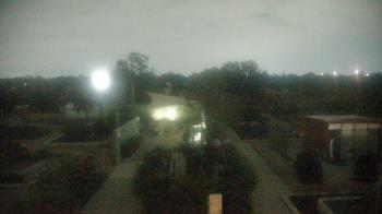 Weather camera view of Houston Botanic Garden.