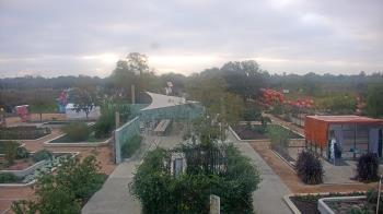 Weather camera view of Houston Botanic Garden.