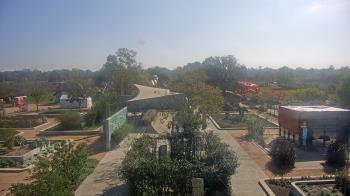 Weather camera view of Houston Botanic Garden.