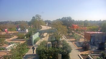 Weather camera view of Houston Botanic Garden.