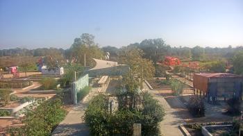 Weather camera view of Houston Botanic Garden.