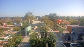 Weather camera view of Houston Botanic Garden.