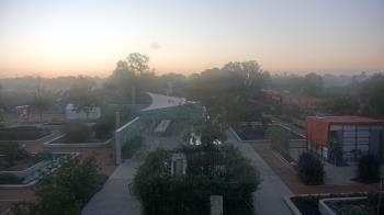 Weather camera view of Houston Botanic Garden.