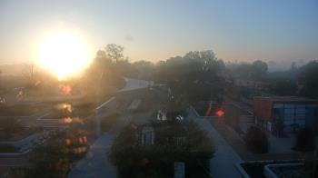 Weather camera view of Houston Botanic Garden.