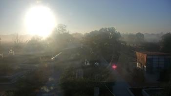 Weather camera view of Houston Botanic Garden.