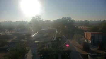 Weather camera view of Houston Botanic Garden.