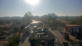 Weather camera view of Houston Botanic Garden.