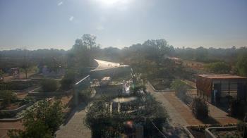 Weather camera view of Houston Botanic Garden.