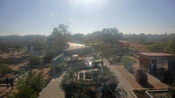 Weather camera view of Houston Botanic Garden.