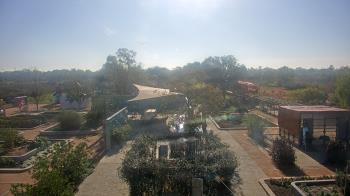 Weather camera view of Houston Botanic Garden.