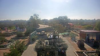 Weather camera view of Houston Botanic Garden.