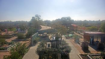 Weather camera view of Houston Botanic Garden.