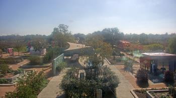 Weather camera view of Houston Botanic Garden.