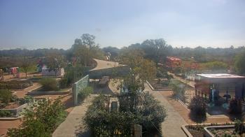 Weather camera view of Houston Botanic Garden.
