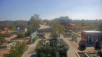 Weather camera view of Houston Botanic Garden.