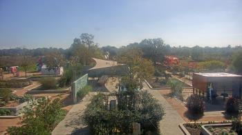 Weather camera view of Houston Botanic Garden.