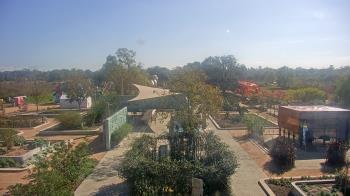 Weather camera view of Houston Botanic Garden.