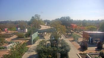 Weather camera view of Houston Botanic Garden.