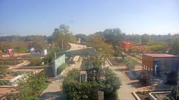 Weather camera view of Houston Botanic Garden.