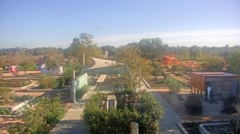 Weather camera view of Houston Botanic Garden.