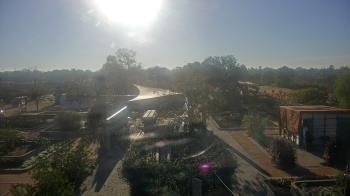 Weather camera view of Houston Botanic Garden.