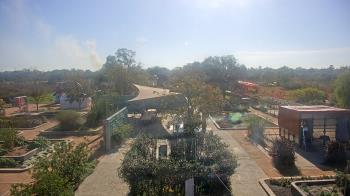 Weather camera view of Houston Botanic Garden.