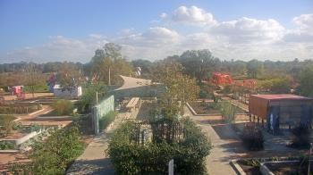 Weather camera view of Houston Botanic Garden.