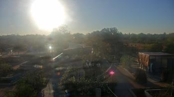 Weather camera view of Houston Botanic Garden.