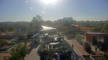 Weather camera view of Houston Botanic Garden.