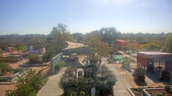 Weather camera view of Houston Botanic Garden.
