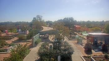 Weather camera view of Houston Botanic Garden.