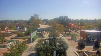 Weather camera view of Houston Botanic Garden.