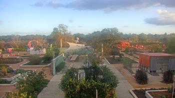 Weather camera view of Houston Botanic Garden.