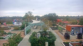 Weather camera view of Houston Botanic Garden.