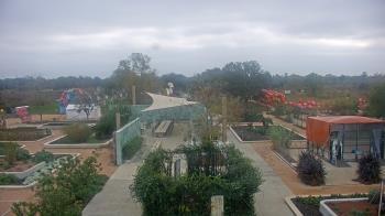 Weather camera view of Houston Botanic Garden.
